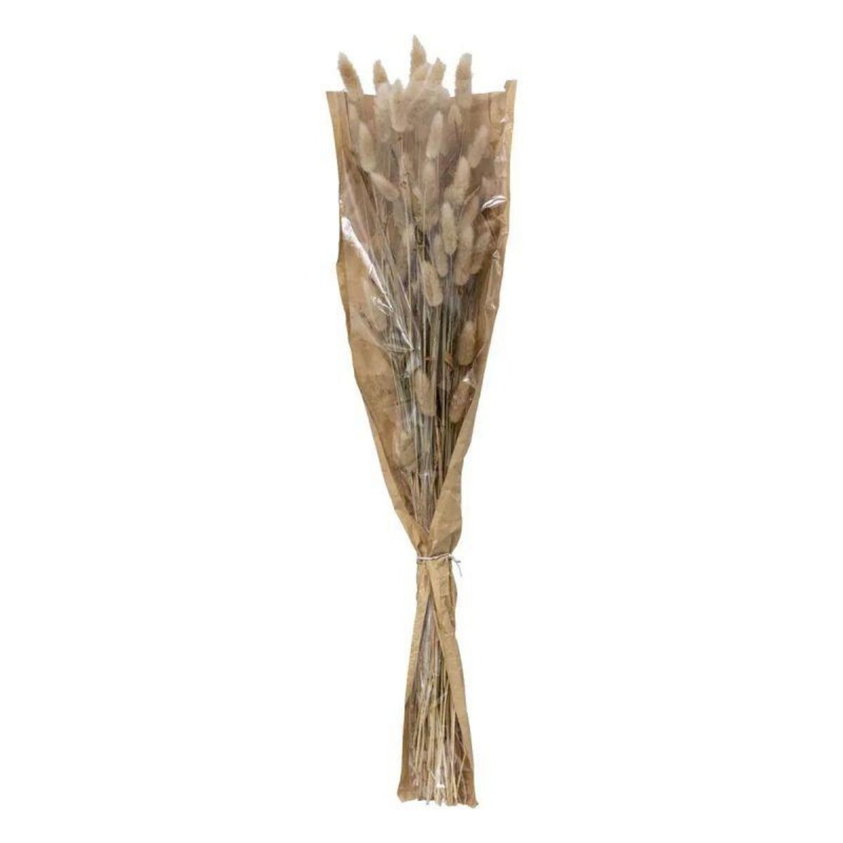  Bouquet de Fleurs  Queue de Lapin  58cm Ivoire