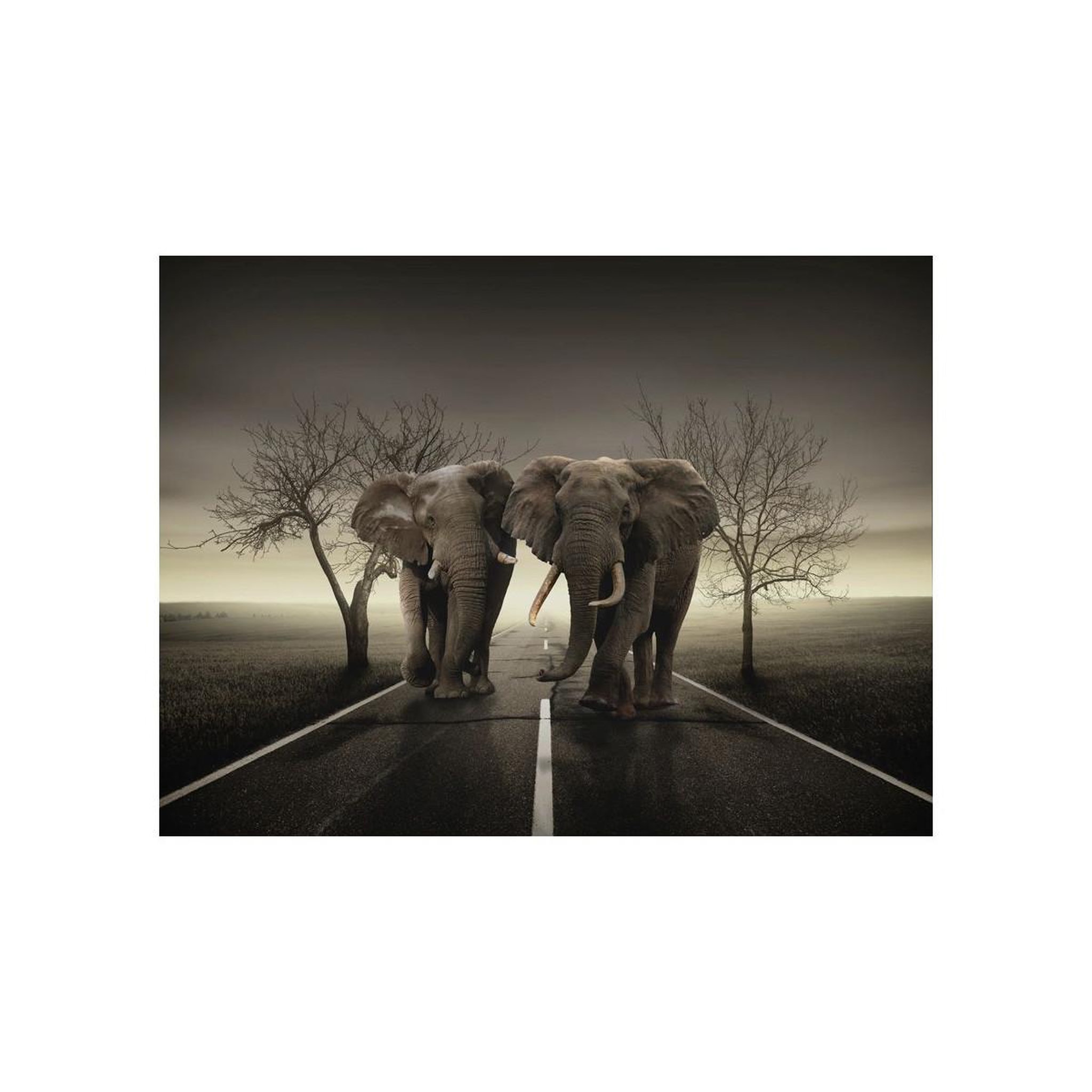 Voir la diapositive 2 : Paris Prix Papier Peint  Ville D'éléphants