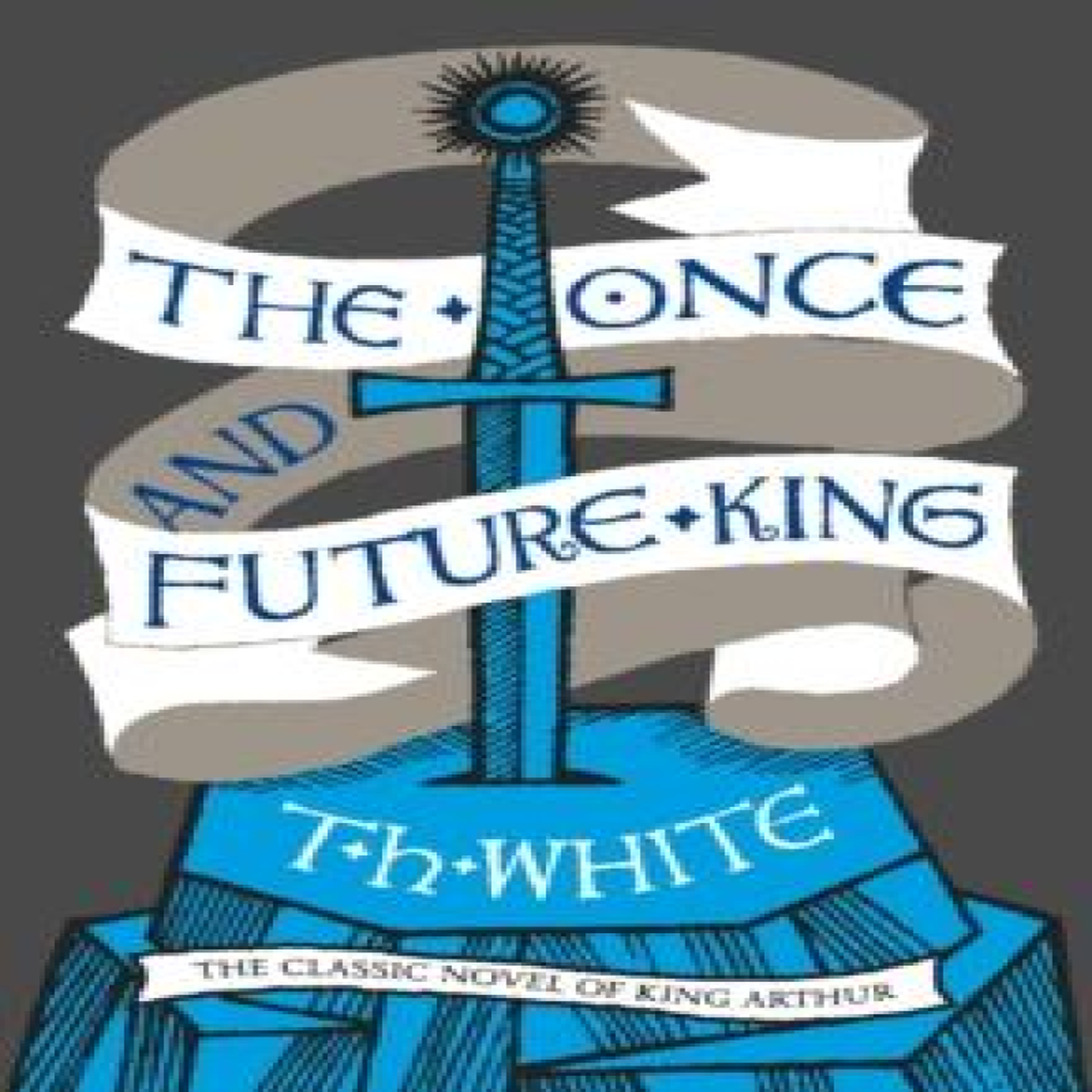 LIVRES ONCE & FUTURE KING PB