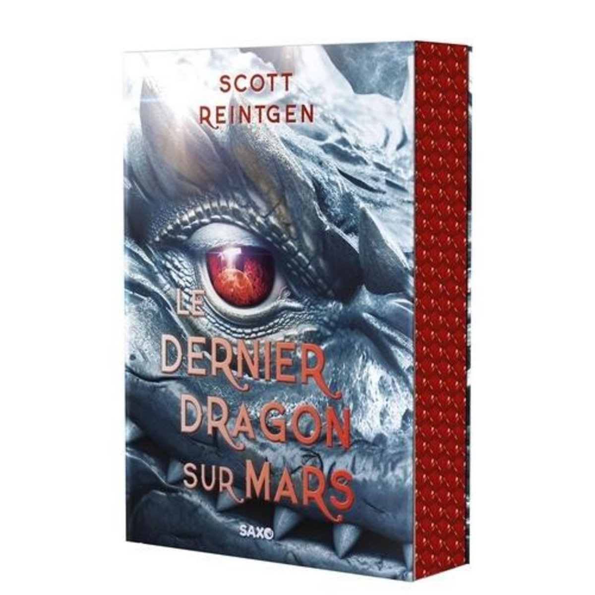 LES DRAGONS-NEFS TOME 1 : LE DERNIER DRAGON SUR MARS, Reintgen Scott