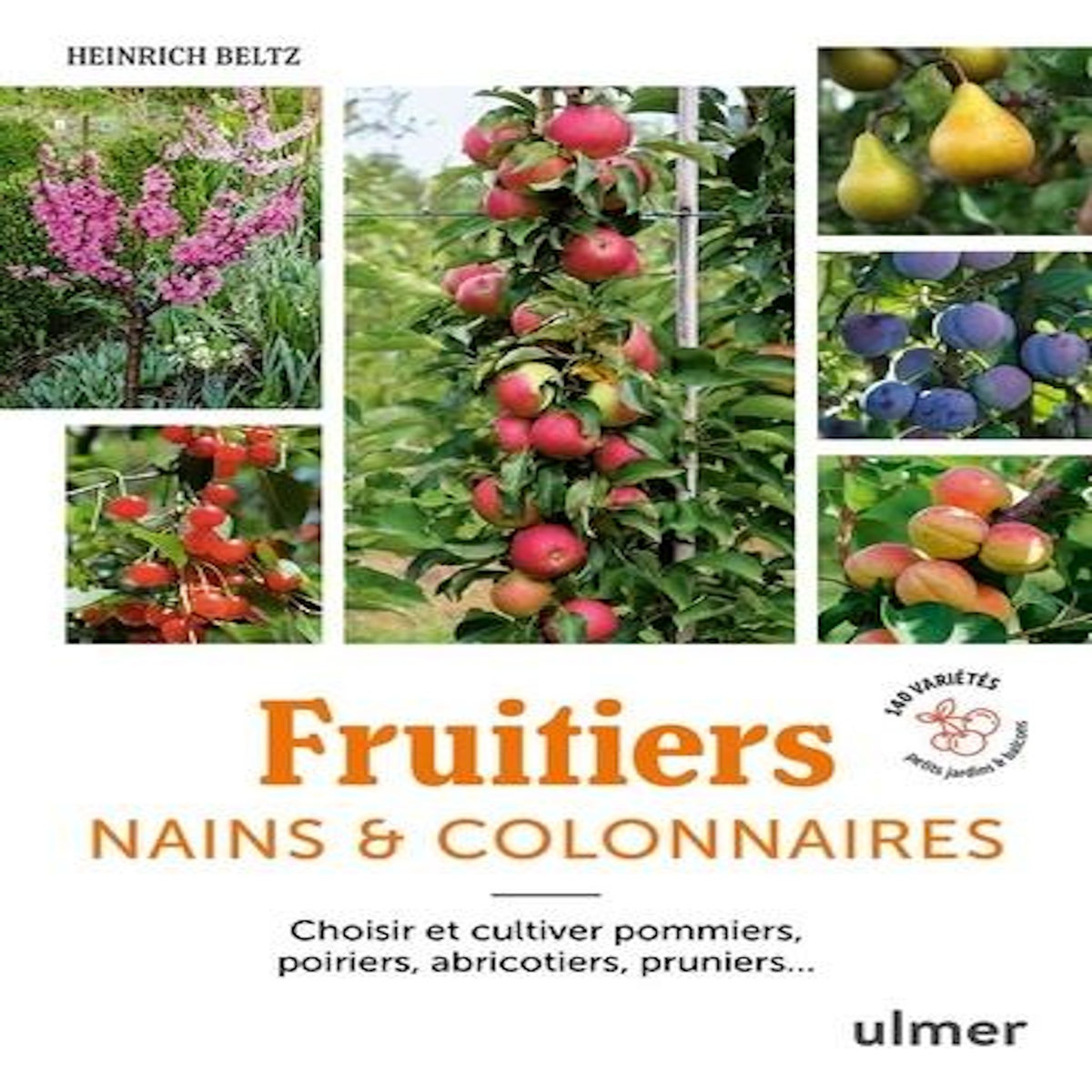 FRUITIERS NAINS & COLONNAIRES. CHOISIR ET CULTIVER POMMIERS, POIRIERS, ABRICOTIERS, PRUNIERS..., Beltz Heinrich