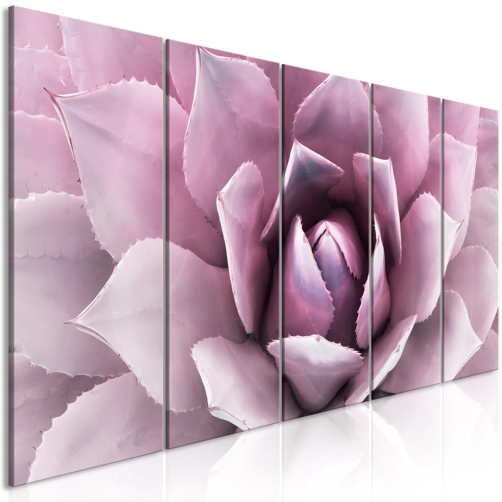 Voir la diapositive 1 : Paris Prix Tableau Imprimé 5 Panneaux  Agave Narrow Pink