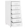 Voir la diapositive 5 : VIDAXL Classeur mobile Blanc 28x41x69 cm Metal