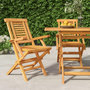 Voir la diapositive 1 : VIDAXL Chaises de jardin pliantes lot de 2 56x63x90cm bois massif teck