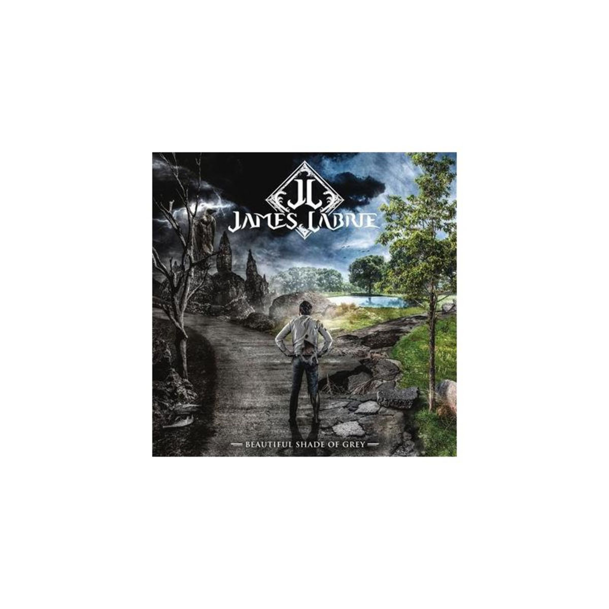 Beautiful Shade Of Grey