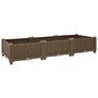 Voir la diapositive 2 : VIDAXL Lit sureleve 120x40x23 cm Polypropylene