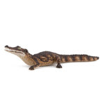 Papo 50311 Caïman - figurine
