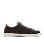 Voir la diapositive 2 : U.S. Polo Assn. Baskets Marrons/ Homme US Polo ASSN