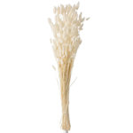 Paris Prix Bouquet de Fleurs  Queue de Lièvre  86cm Écru