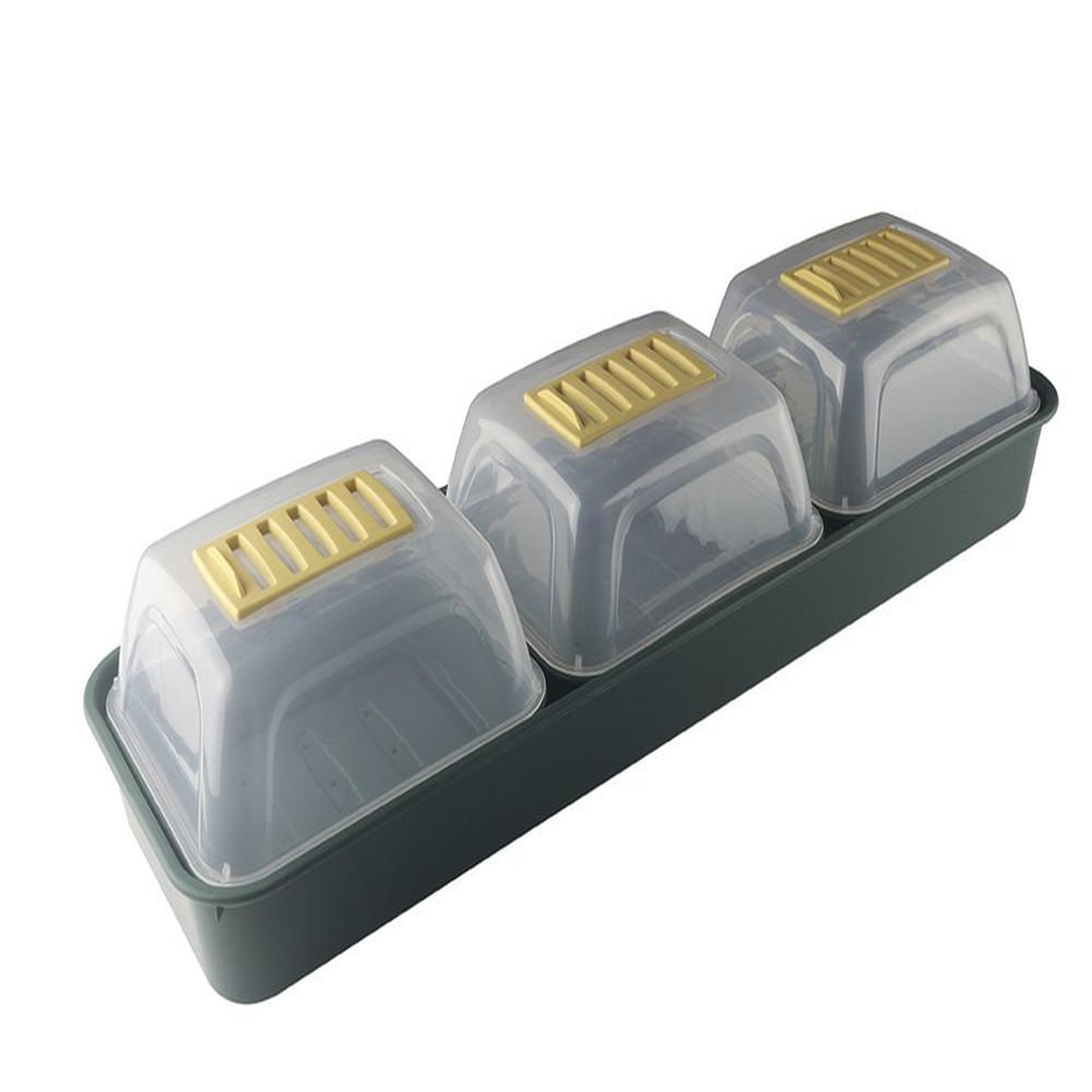 Nortene Lot de 3 mini serres Rapid Grow Window avec bac pour fenêtres - vert/transparent