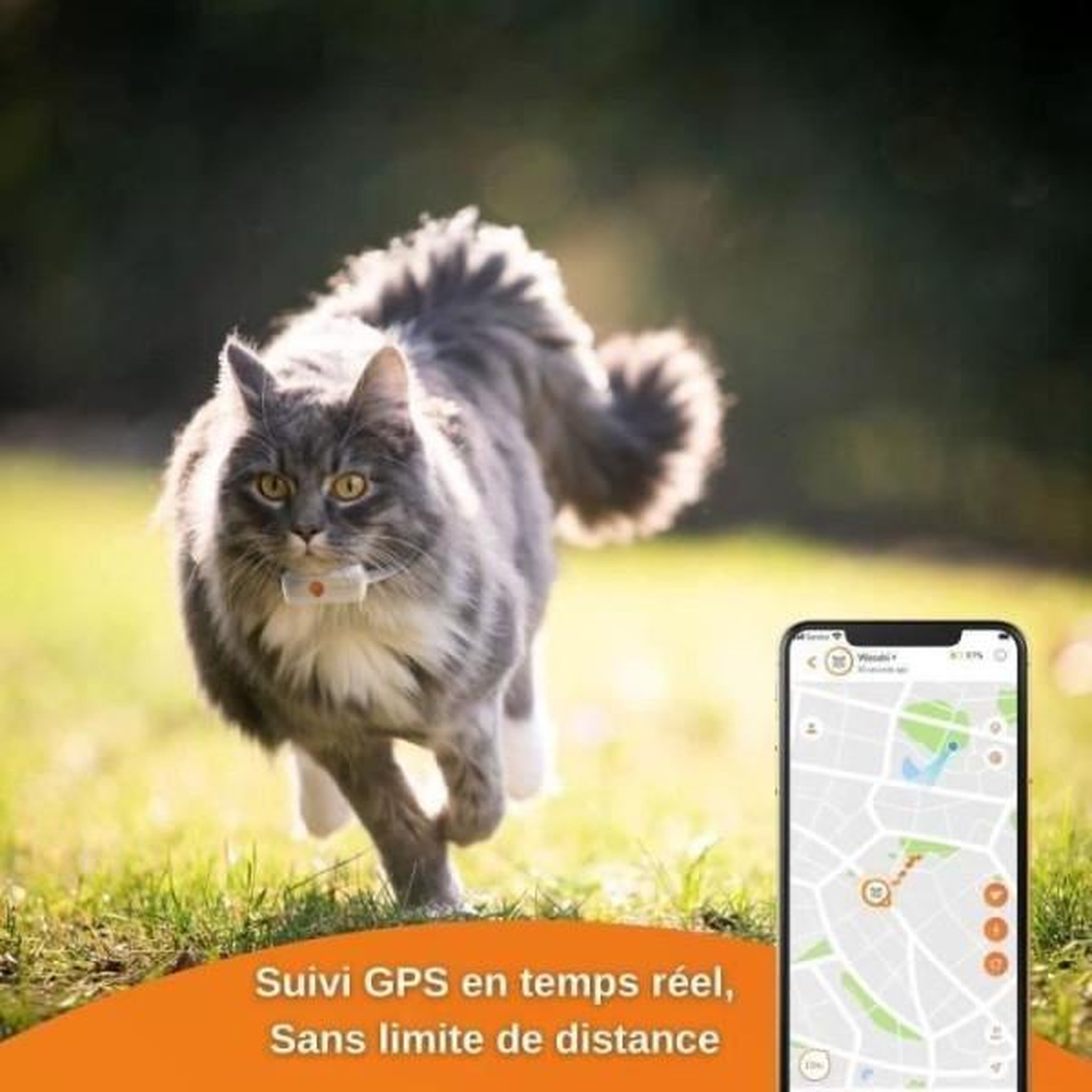 Voir la diapositive 4 : WEENECT Traceur GPS pour Chat - Weenect XS (White Edition 2023)