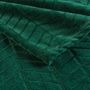 Voir la diapositive 3 : Paris Prix Plaid Flanelle Uni  Arya  180x220cm Vert