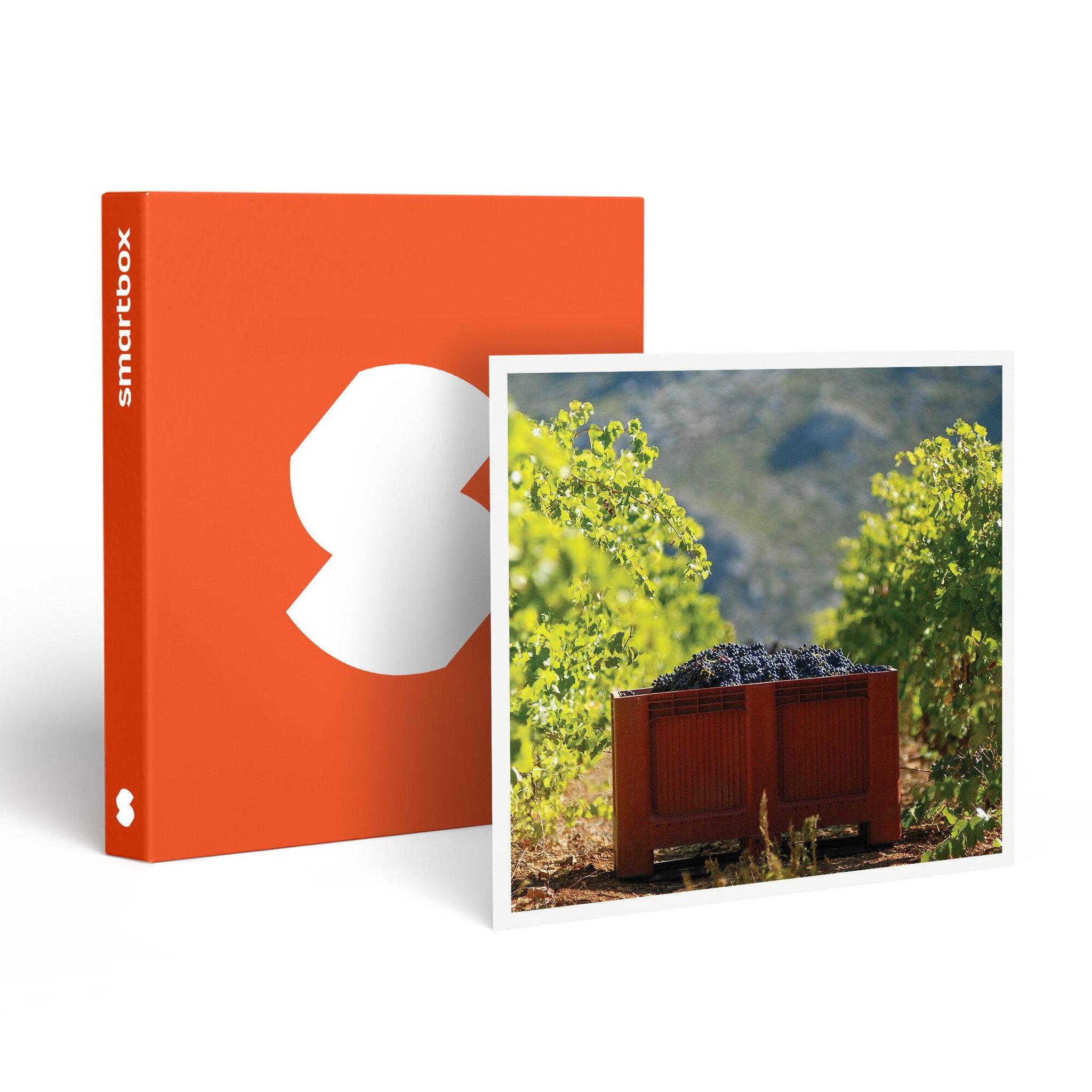 Smartbox Atelier initiation et dégustation vin biologique dans un domaine viticole - coffret cadeau gastronomie