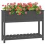 Voir la diapositive 4 : VIDAXL Jardiniere avec etagere Gris 111,5x34,5x81cm Bois massif de pin