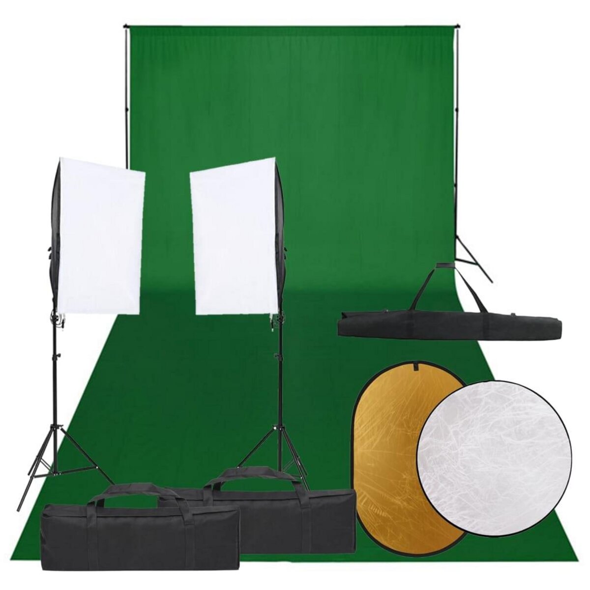 VIDAXL Kit de studio photo avec eclairage toile de fond et reflecteur