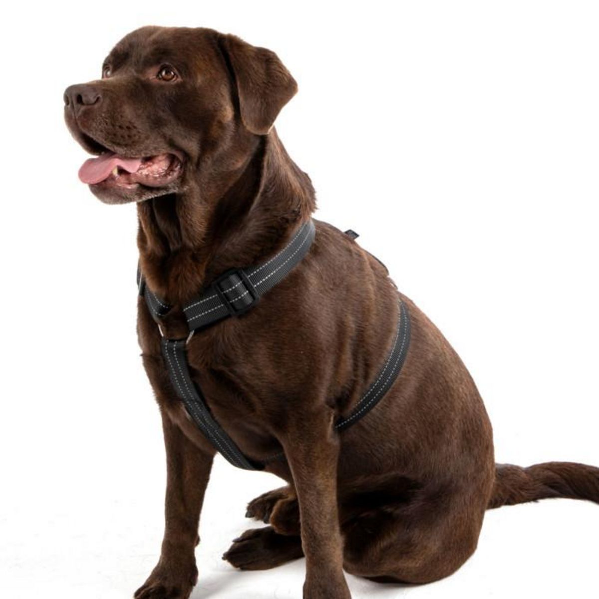 Paris Prix Harnais pour Chien  Coutures Réfléchissantes  90cm Noir