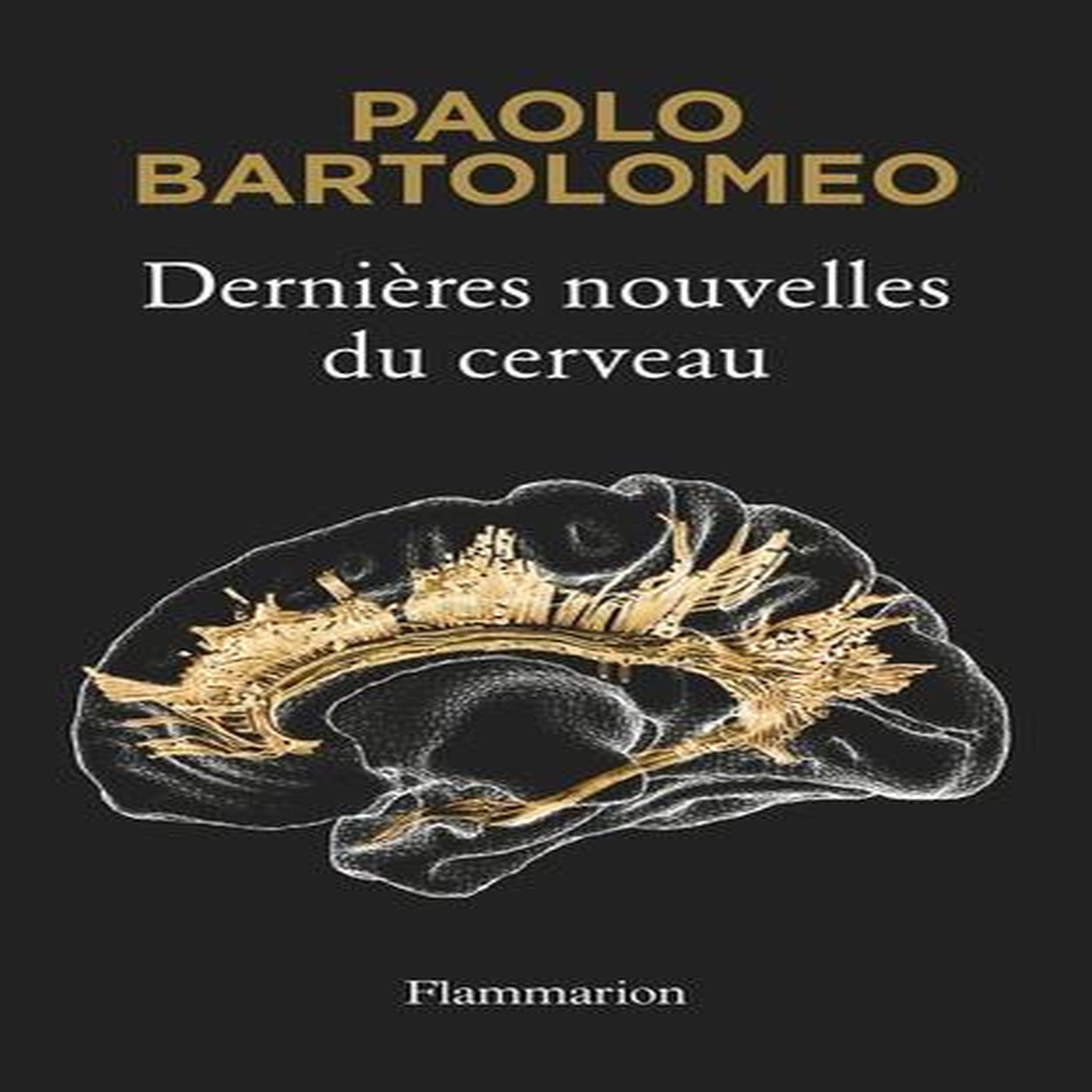 DERNIERES NOUVELLES DU CERVEAU, Bartolomeo Paolo