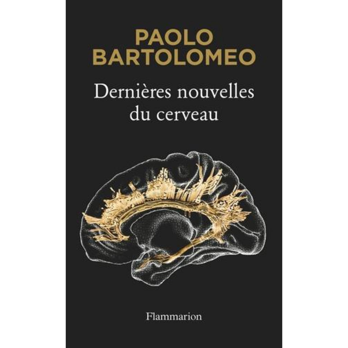 DERNIERES NOUVELLES DU CERVEAU, Bartolomeo Paolo