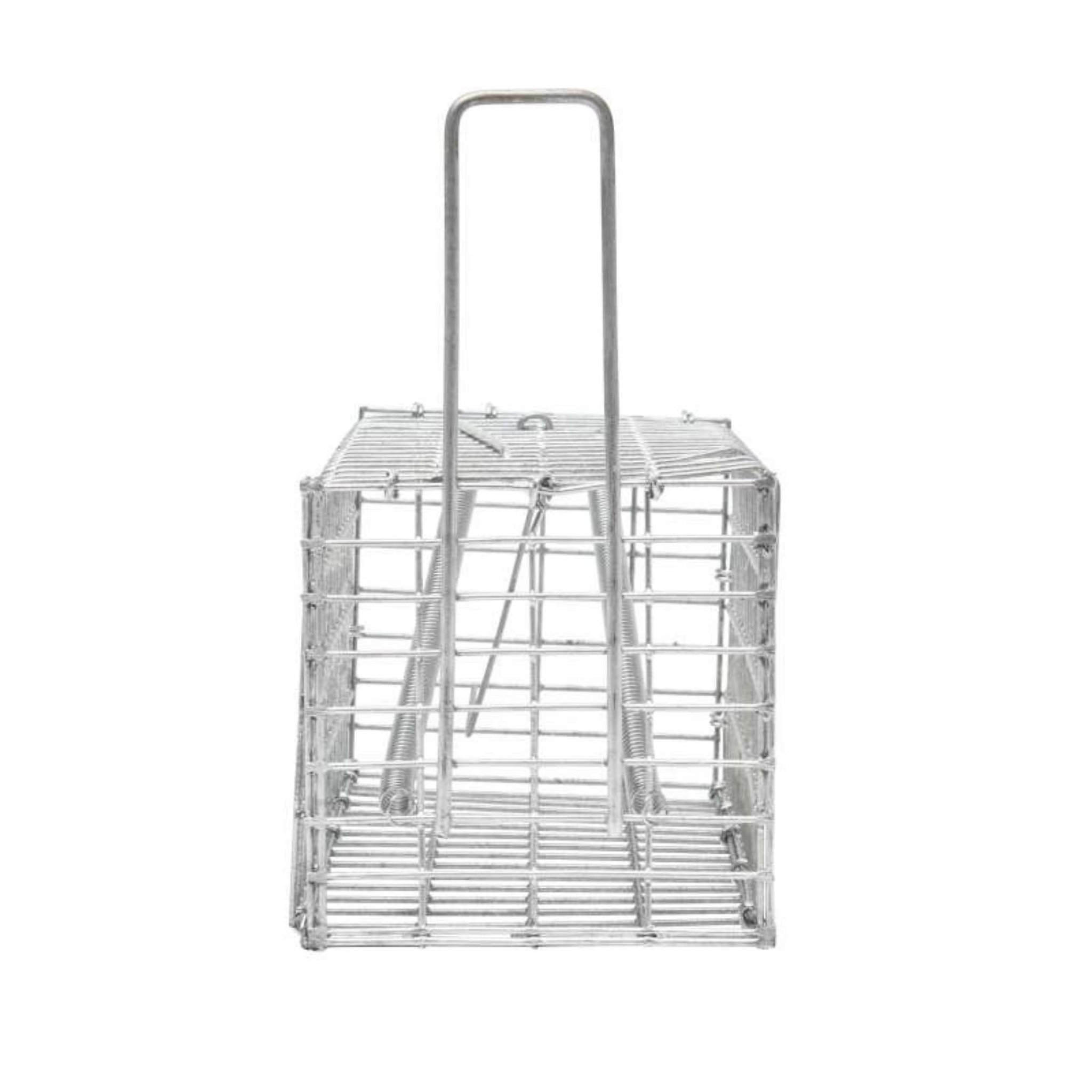 Voir la diapositive 5 :  Nasse pour souris ou rat Werkapro 20 x 10 x 10 cm