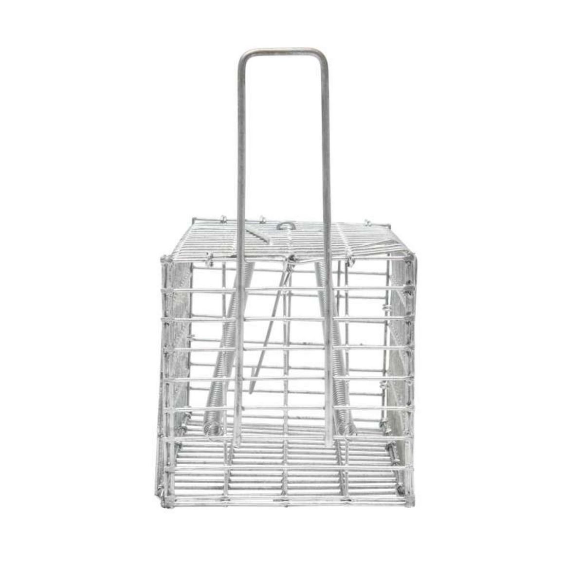  Nasse pour souris ou rat Werkapro 20 x 10 x 10 cm