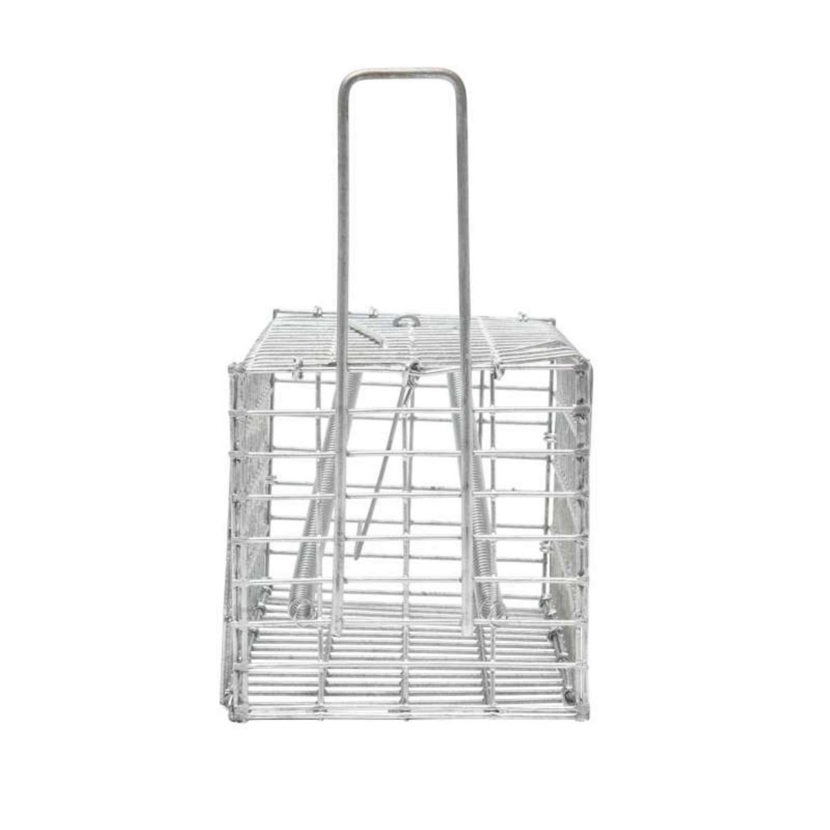  Nasse pour souris ou rat Werkapro 20 x 10 x 10 cm