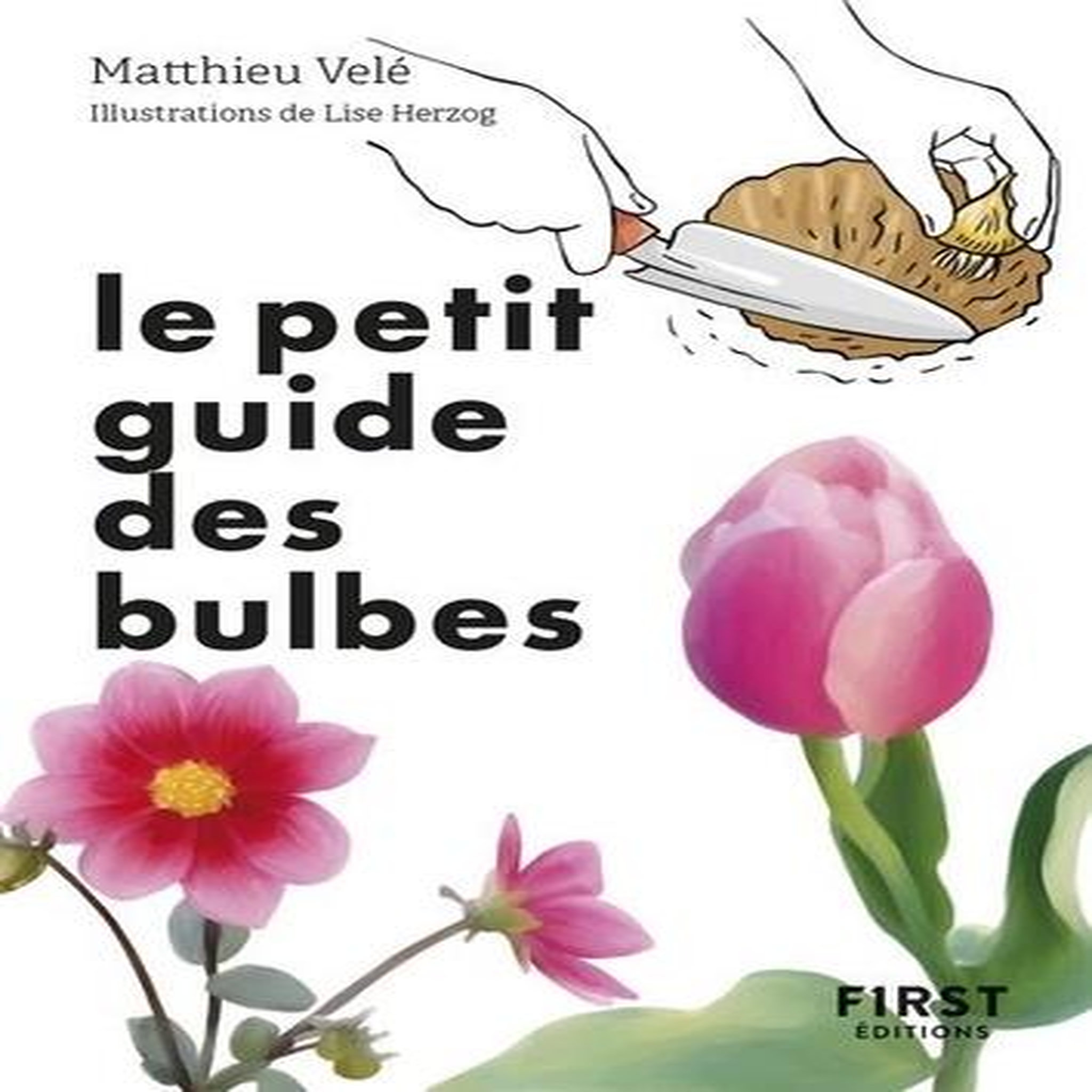 LE PETIT GUIDE DES BULBES. 70 VARIETES POUR FLEURIR SON JARDIN, Velé Matthieu