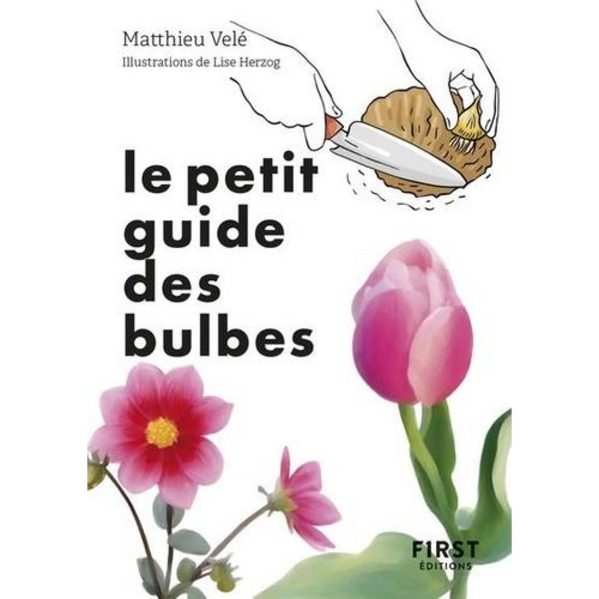 LE PETIT GUIDE DES BULBES. 70 VARIETES POUR FLEURIR SON JARDIN, Velé Matthieu