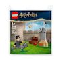 Voir la diapositive 3 : LEGO LECON DE QUIDDITCH HPOTTER Lego LEG30706