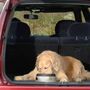 Voir la diapositive 4 : Road Refresher Road Refresher Bol a eau pour animaux de compagnie L Gris LGRR