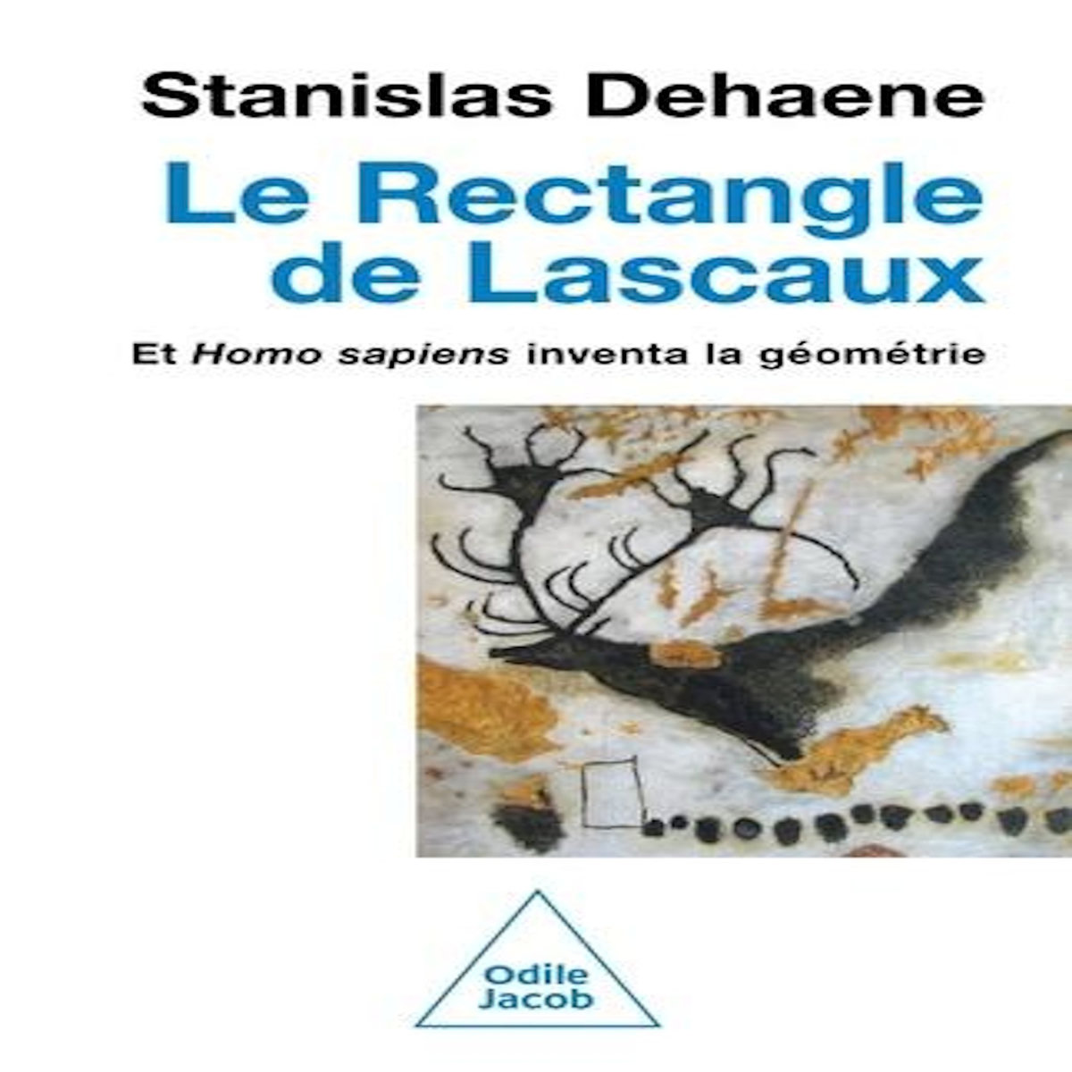 LE RECTANGLE DE LASCAUX. ET HOMO SAPIENS INVENTA LA GEOMETRIE, Dehaene Stanislas