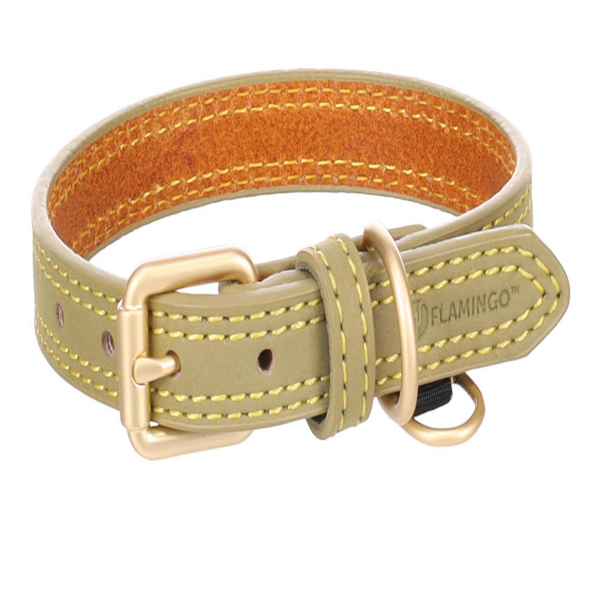 Voir la diapositive 3 : Eden Collier pour chien virginia en cuir