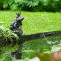Voir la diapositive 3 : Ubbink Ubbink Fontaine de jardin a cracheur Grenouille roi