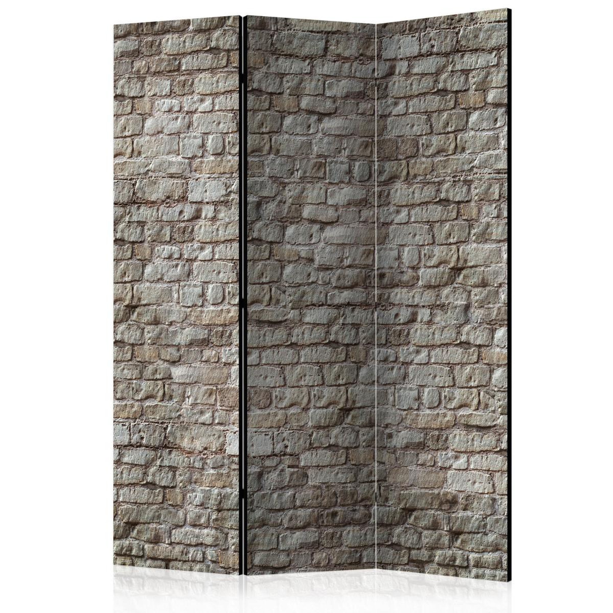 Paris Prix Paravent 3 volets  reality  135x172cm