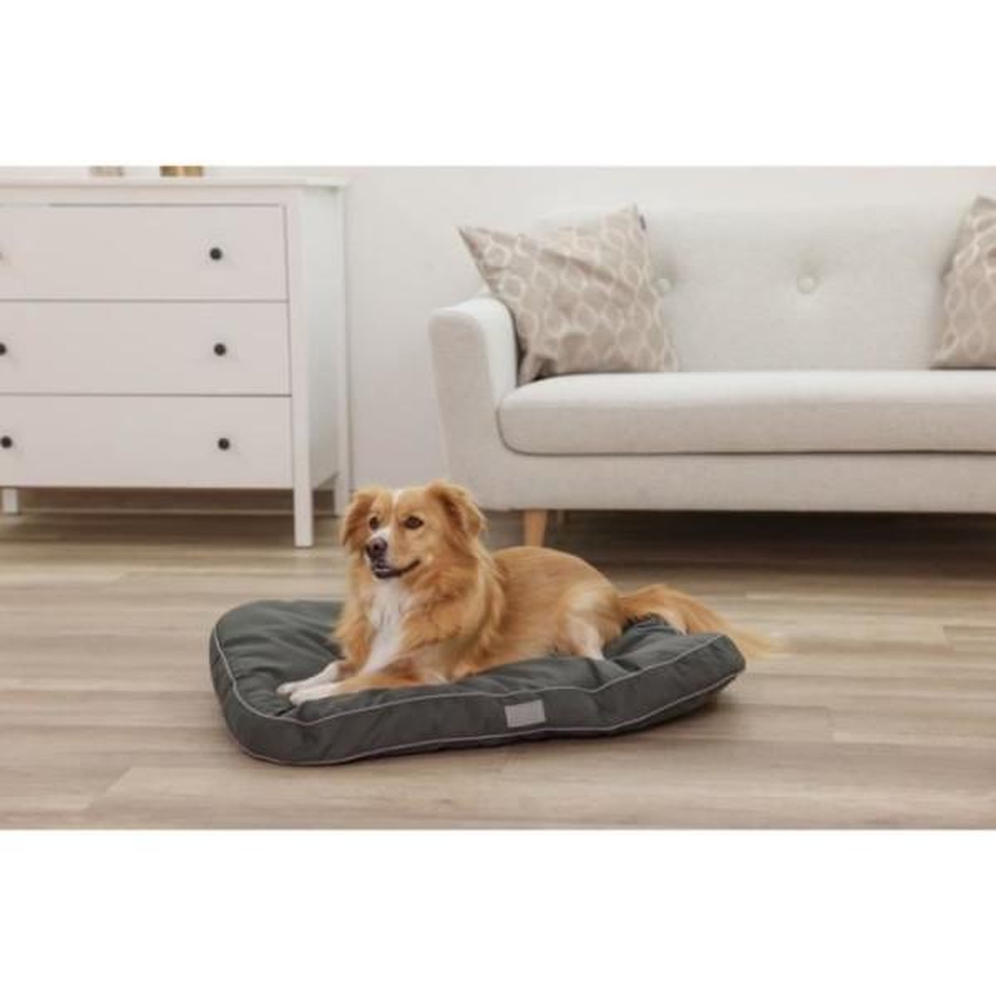 Voir la diapositive 5 : KERBL KERBL - Matelas de sol rembourré L - 80 x 60 x 6 cm - Coussin JEROME - Vert foncé -