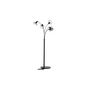 Voir la diapositive 3 : Paris Prix Lampadaire Design 5 Têtes  Elsa  152cm Noir
