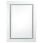 VIDAXL Armoire de salle de bain a miroir LED Gris 50x13x70 cm
