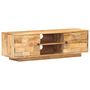 Voir la diapositive 1 : VIDAXL Meuble TV 116x30x35 cm Bois de manguier solide