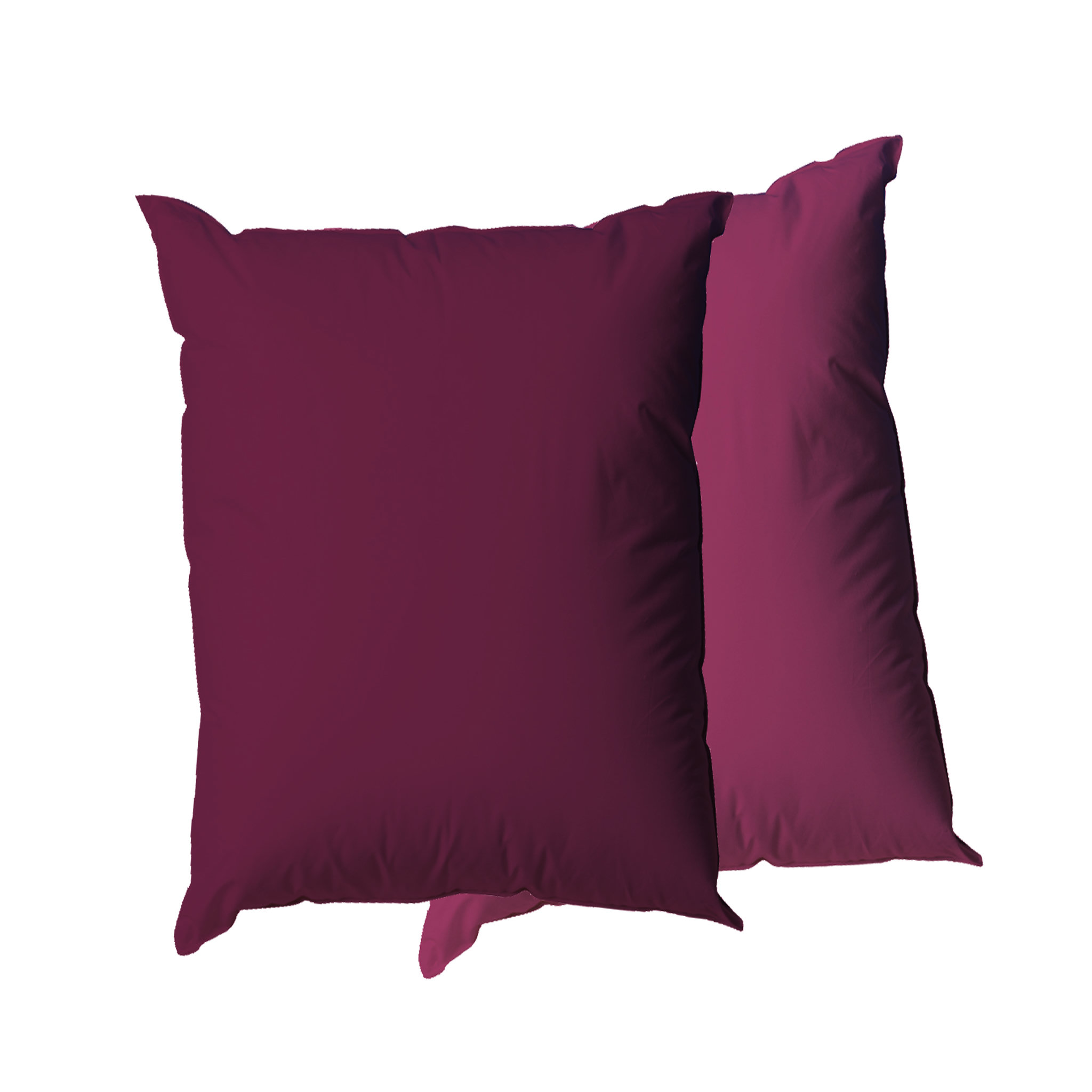 Voir la diapositive 1 : BLANREVE Lot de 2 oreillers confort moelleux bicolore en microfibre 