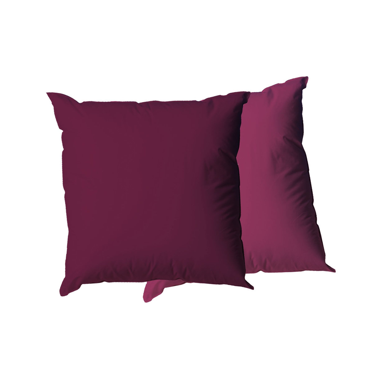 BLANREVE Lot de 2 oreillers confort moelleux bicolore en microfibre 