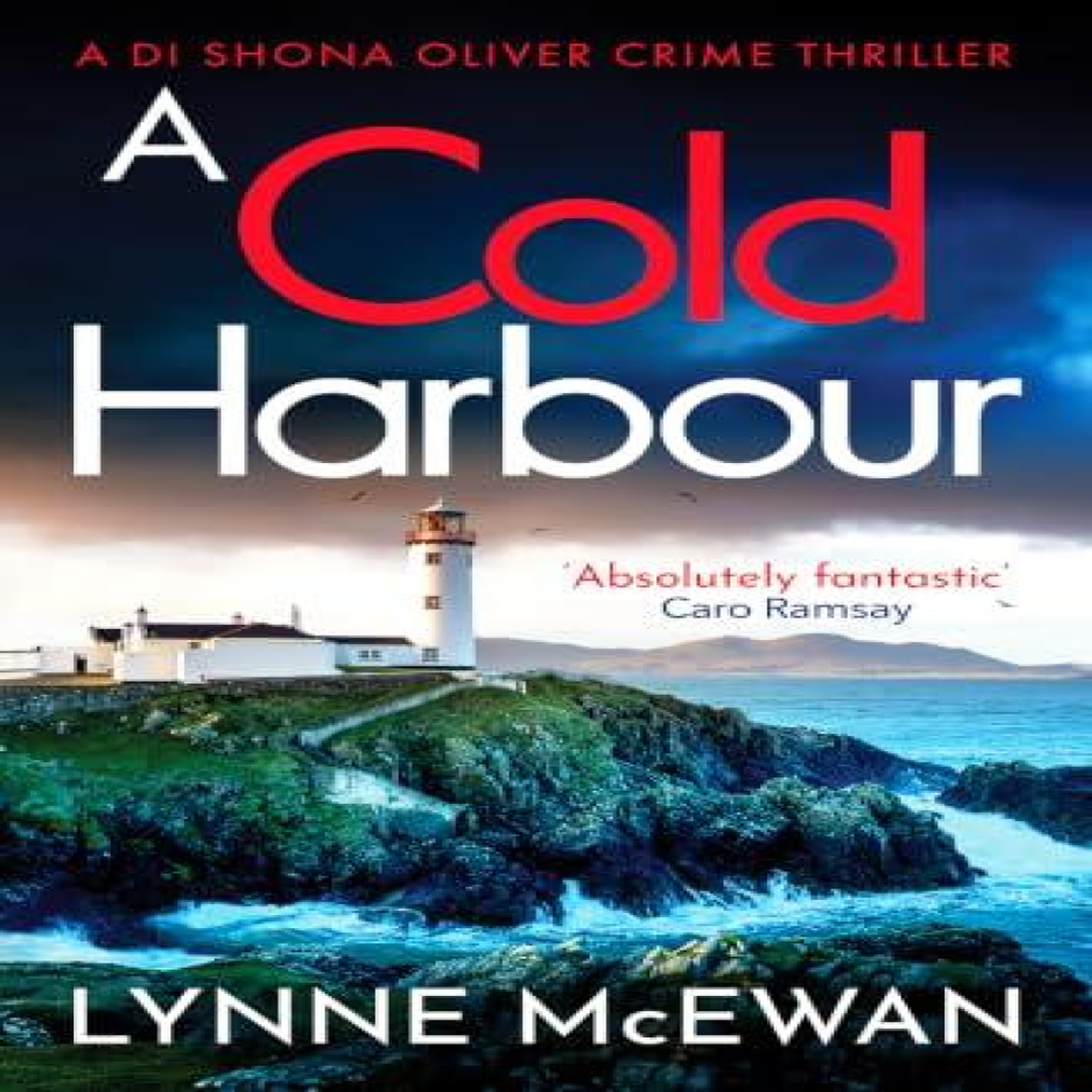 LIVRES A Cold Harbour : A fast-paced Scottish crime thriller full of mystery and suspense