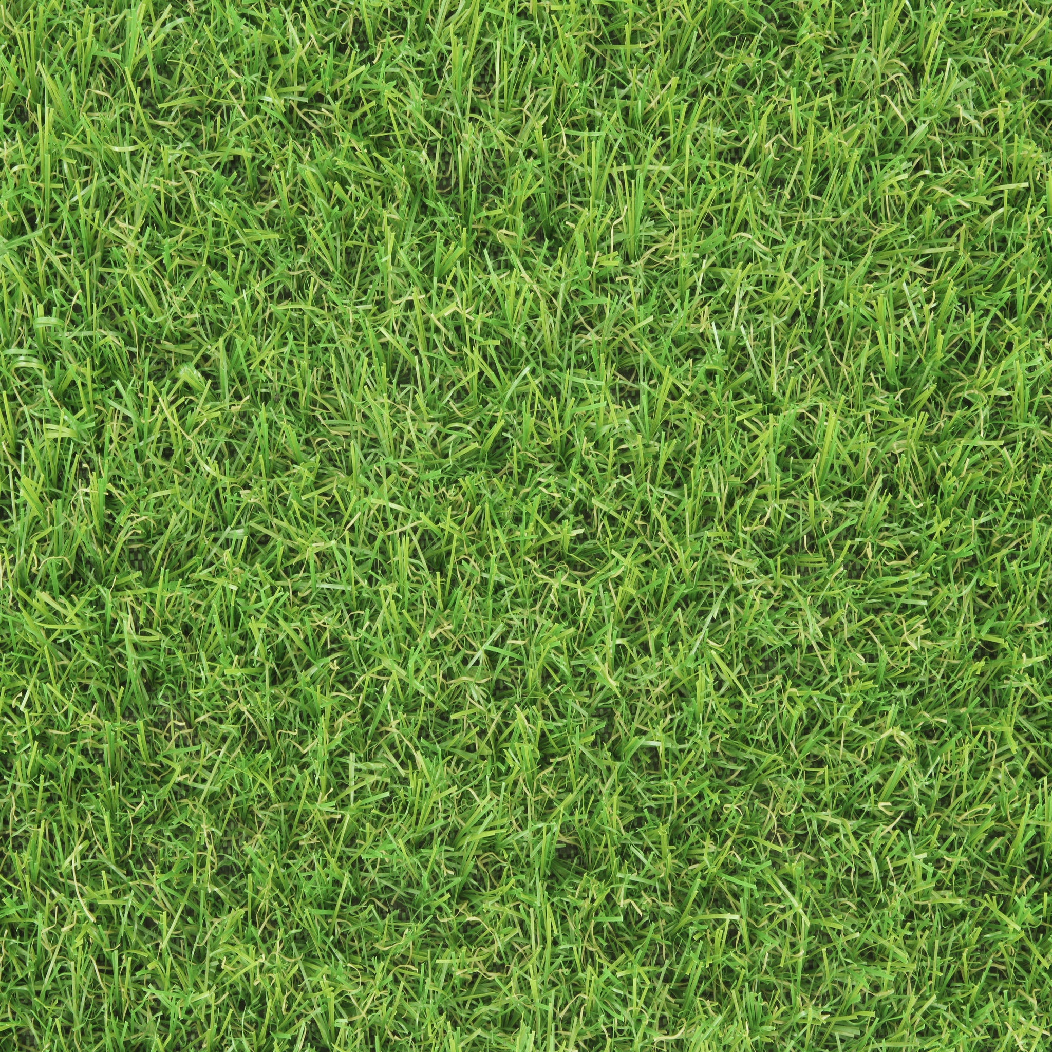 Voir la diapositive 2 : EXELGREEN Gazon synthétique Swift 1m x 3m épaisseur 20 mm 