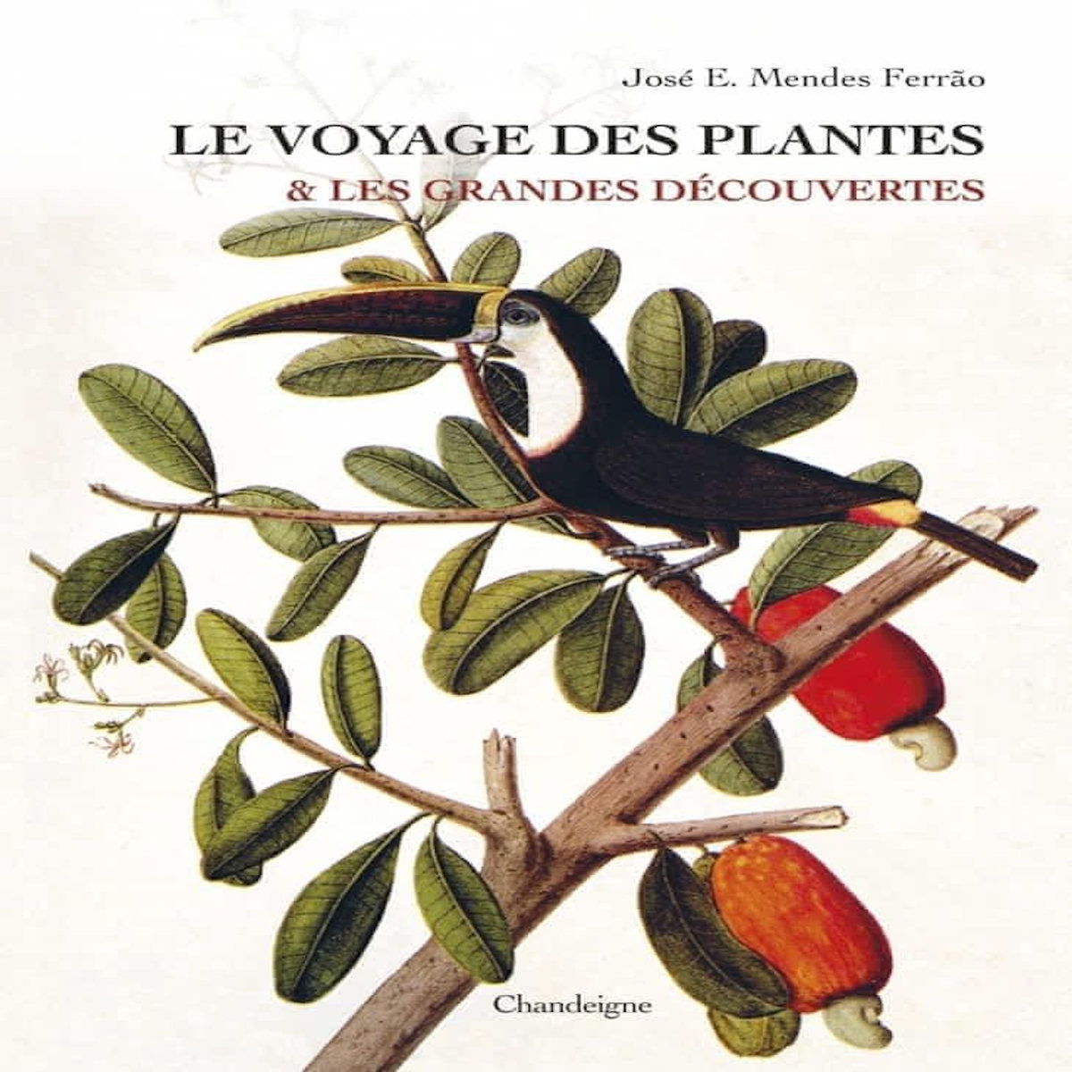 LE VOYAGE DES PLANTES & LES GRANDES DECOUVERTES. (XVE-XVIIE SIECLES), EDITION REVUE ET AUGMENTEE, Ferrao José Eduardo Mendes