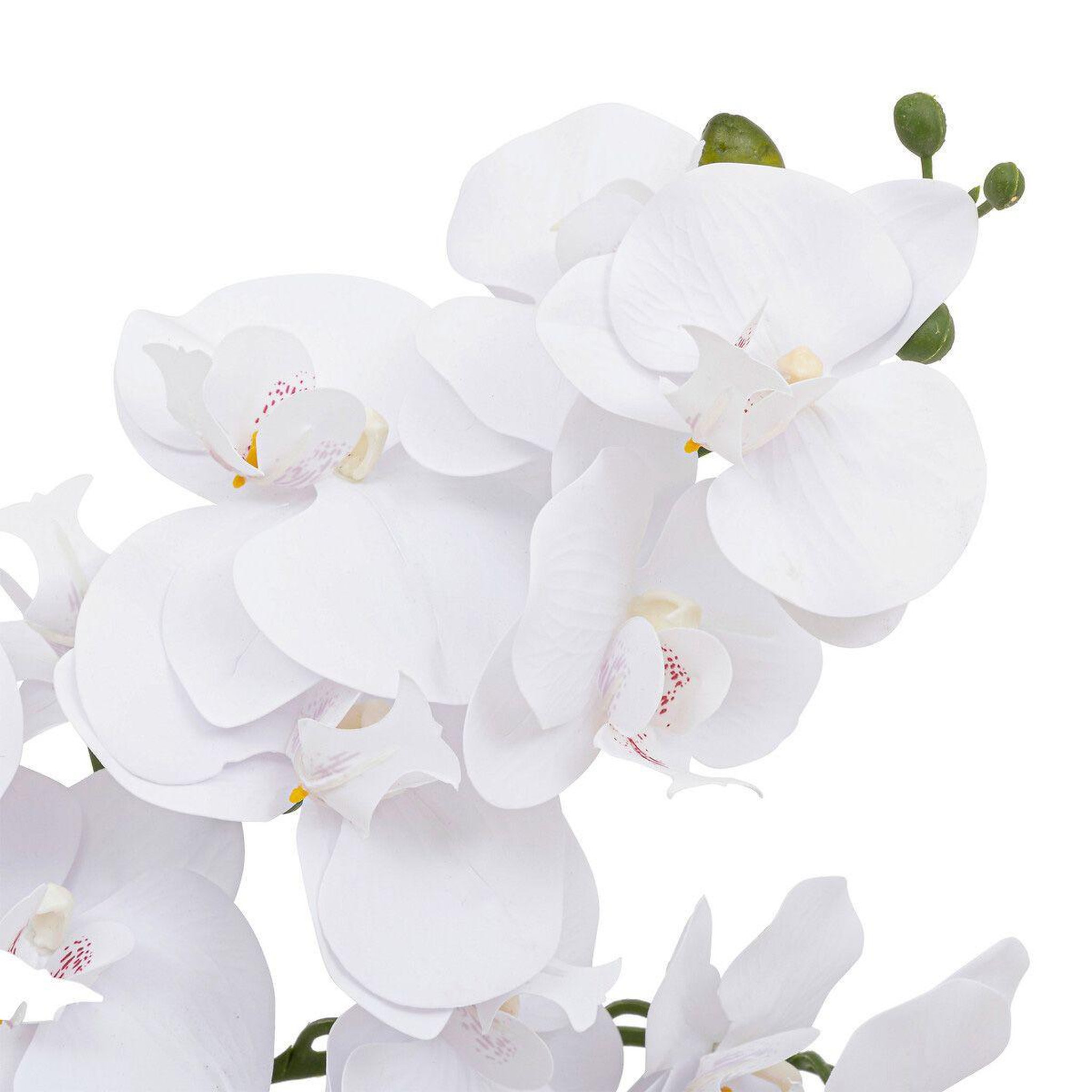 Voir la diapositive 2 : ATMOSPHERA Orchidée artificielle en pot  dena  65cm blanc