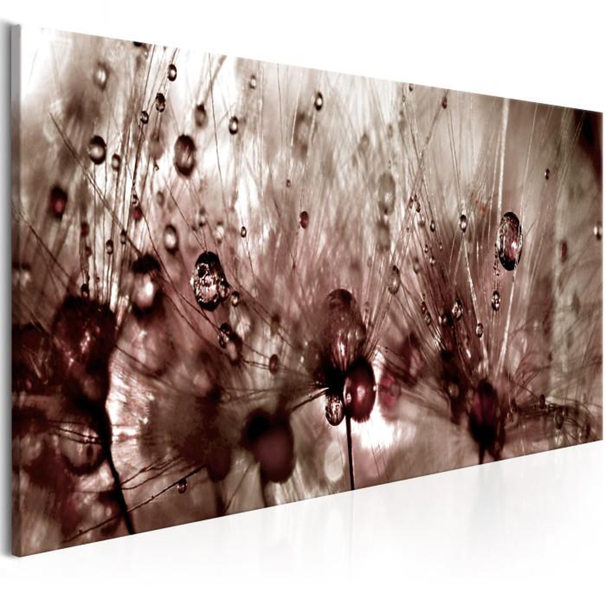 Paris Prix Tableau Imprimé  Dandelions After Rain. Coloris disponibles : Multicolore
