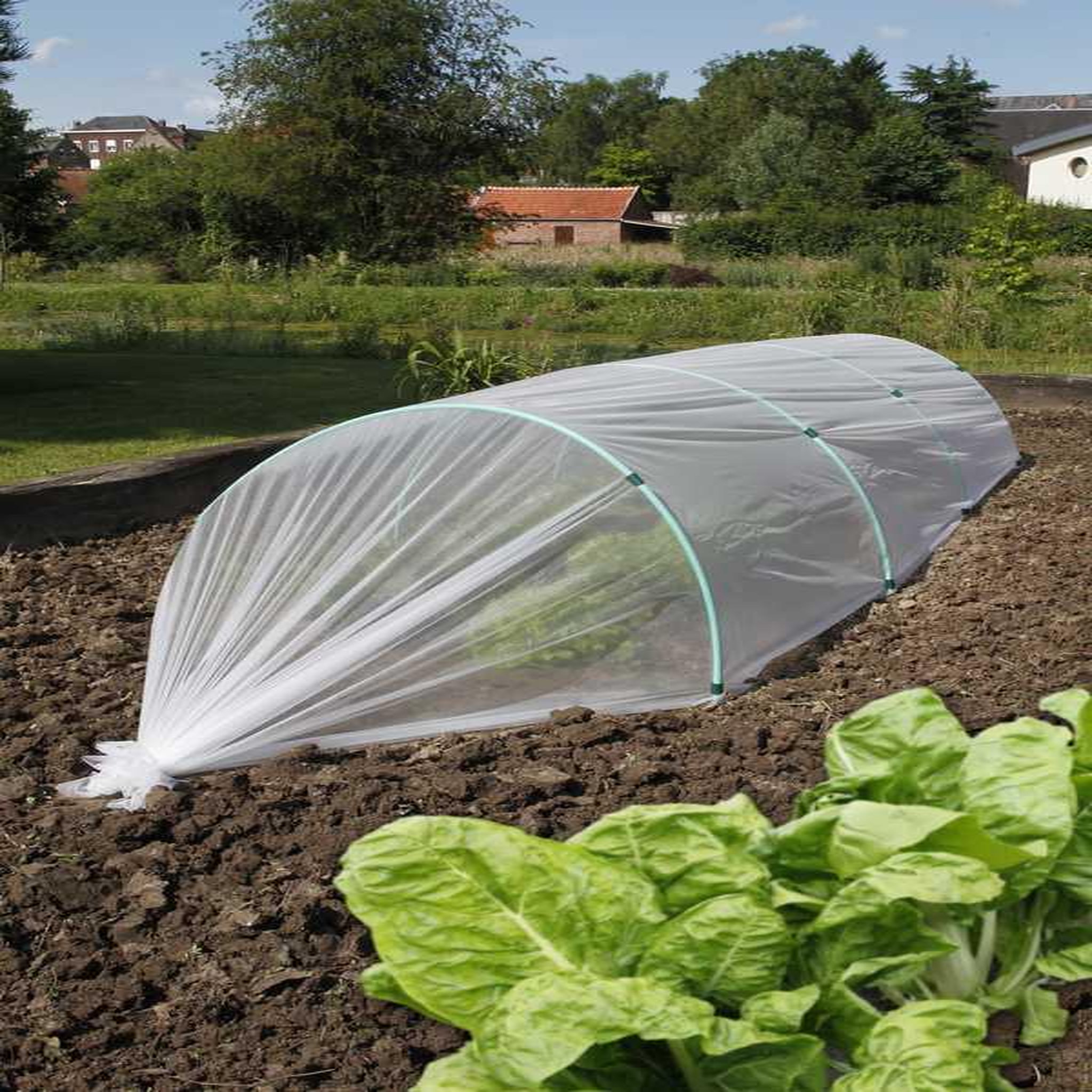 Nortene Film de forçage anti-insectes  Biocontrol  - 1,40 x 10 m