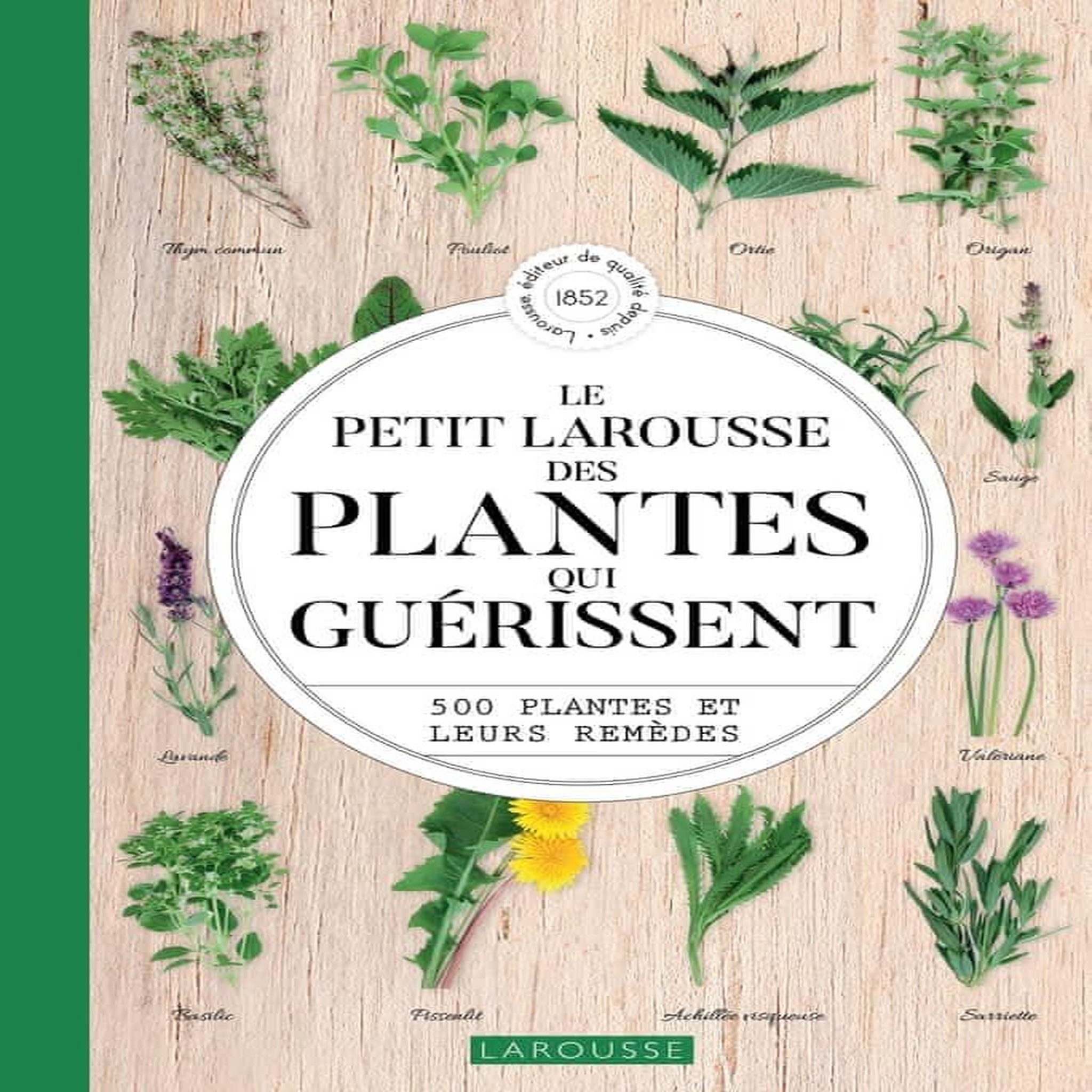 LE PETIT LAROUSSE DES PLANTES QUI GUERISSENT. 500 PLANTES ET LEURS REMEDES, Debuigne Gérard