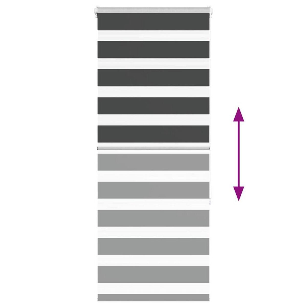 VIDAXL Store zebre noir 55x150 cm largeur du tissu 50,9 cm polyester