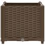 Voir la diapositive 4 : VIDAXL Lit sureleve 40x40x38 cm Polypropylene