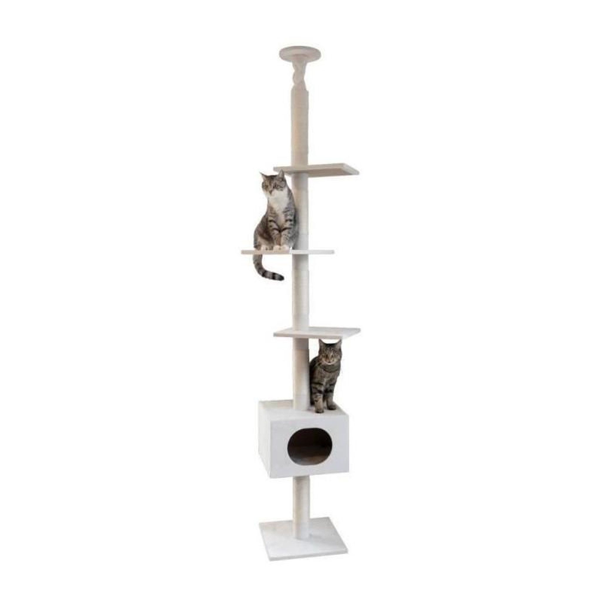 Voir la diapositive 2 : KERBL Arbre a chat - 38 x 38 x 240 a 260 cm - Ferdi - KERBL - Blanc - Sisal