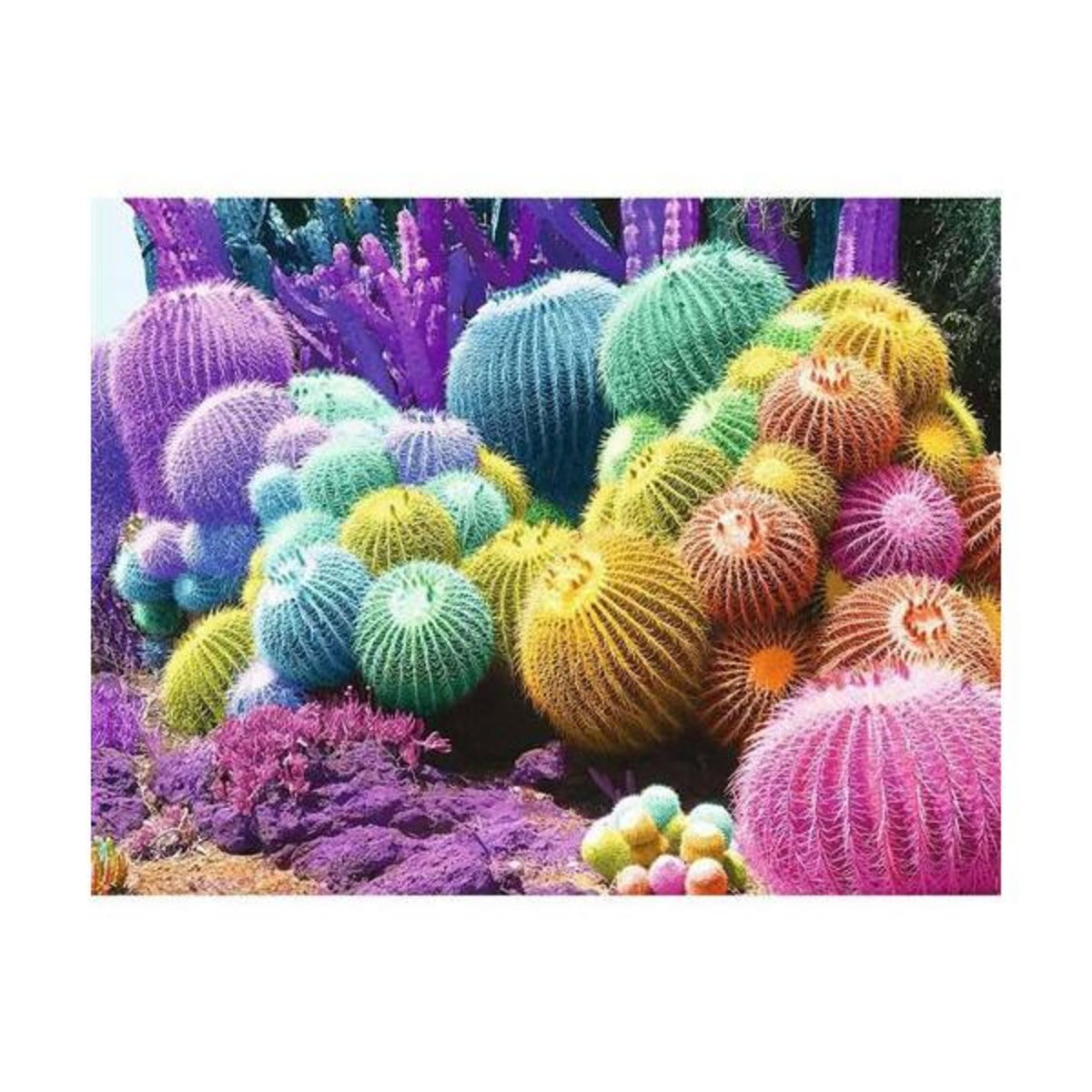 Nathan Puzzle 2000 pièces Nathan